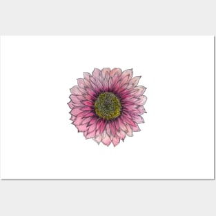 Dahlia Blush Posters and Art